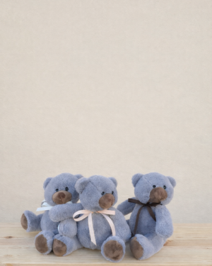 Teddy Party